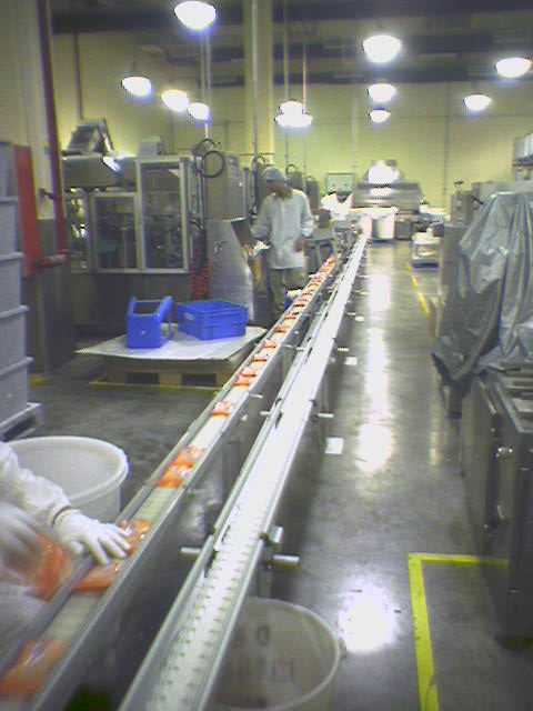 模塊化設計柔性鏈板輸送系統 模塊化設計柔性鏈板輸送系統